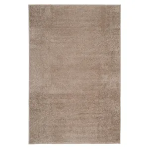 Carved Oatmeal Area Rug - Clement